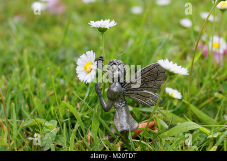 Garden fairy girl holding marguerites. Banque D'Images