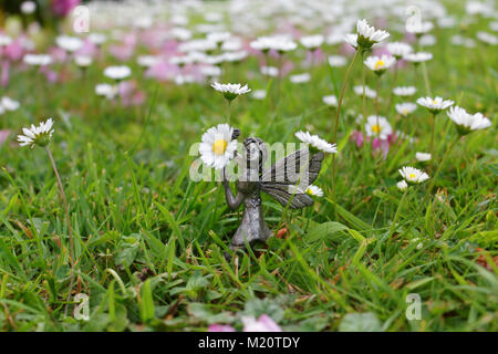 Garden fairy girl holding marguerites. Banque D'Images