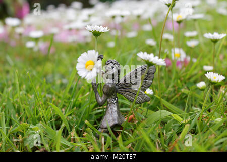 Garden fairy girl holding marguerites. Banque D'Images