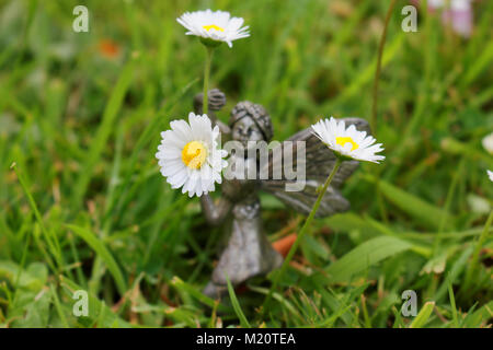 Garden fairy girl holding marguerites. Banque D'Images