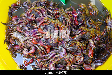 Crabe fermentée au piment et l'ail au marché local dans le sud du Vietnam. Banque D'Images