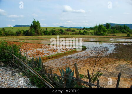 Rizières près de la Plaine des Jarres du site archéologique. Les champs dissimuler un danger caché de bombes non explosées de la guerre du Vietnam qui stil Banque D'Images