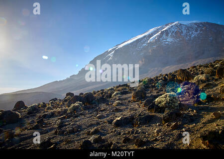 Une longue marche jusqu'Kilimandjaro sur la route du Whisky Banque D'Images