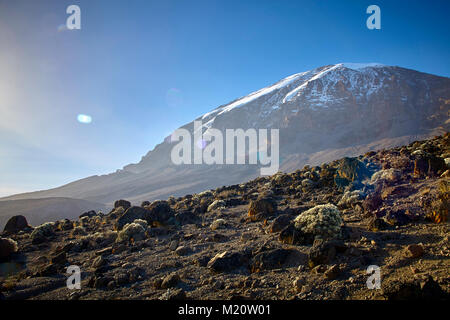 Une longue marche jusqu'Kilimandjaro sur la route du Whisky Banque D'Images