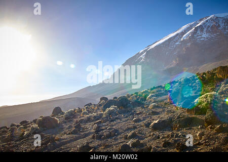 Une longue marche jusqu'Kilimandjaro sur la route du Whisky Banque D'Images