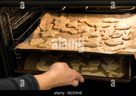 Femme met des cookies dans le four Banque D'Images