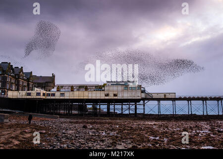 Pays de Galles Aberystwyth UK, samedi 03 février 2018 Météo France : sur un très froid et gris Février soir , grand nuages de dizaines de milliers de minuscules étourneaux remplir le ciel comme ils volent dans murmurations spectaculaire Crédit : Keith morris/Alamy Live News Banque D'Images