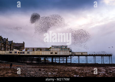 Pays de Galles Aberystwyth UK, samedi 03 février 2018 Météo France : sur un très froid et gris Février soir , grand nuages de dizaines de milliers de minuscules étourneaux remplir le ciel comme ils volent dans murmurations spectaculaire Crédit : Keith morris/Alamy Live News Banque D'Images