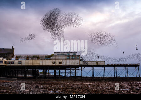 Pays de Galles Aberystwyth UK, samedi 03 février 2018 Météo France : sur un très froid et gris Février soir , grand nuages de dizaines de milliers de minuscules étourneaux remplir le ciel comme ils volent dans murmurations spectaculaire Crédit : Keith morris/Alamy Live News Banque D'Images