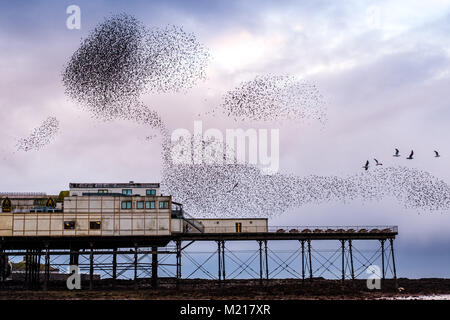 Pays de Galles Aberystwyth UK, samedi 03 février 2018 Météo France : sur un très froid et gris Février soir , grand nuages de dizaines de milliers de minuscules étourneaux remplir le ciel comme ils volent dans murmurations spectaculaire Crédit : Keith morris/Alamy Live News Banque D'Images