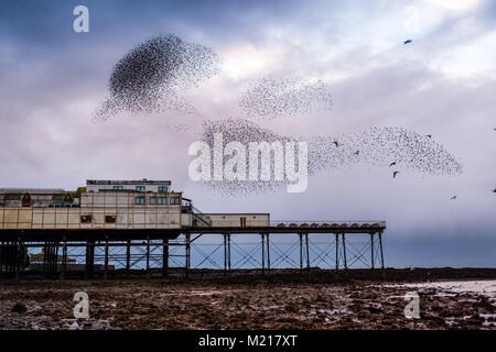 Pays de Galles Aberystwyth UK, samedi 03 février 2018 Météo France : sur un très froid et gris Février soir , grand nuages de dizaines de milliers de minuscules étourneaux remplir le ciel comme ils volent dans murmurations spectaculaire Crédit : Keith morris/Alamy Live News Banque D'Images