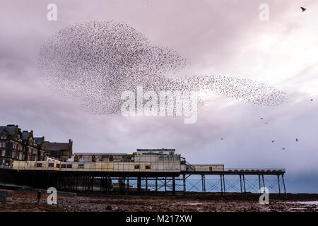 Pays de Galles Aberystwyth UK, samedi 03 février 2018 Météo France : sur un très froid et gris Février soir , grand nuages de dizaines de milliers de minuscules étourneaux remplir le ciel comme ils volent dans murmurations spectaculaire Crédit : Keith morris/Alamy Live News Banque D'Images