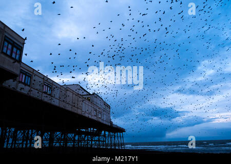 Pays de Galles Aberystwyth UK, samedi 03 février 2018 Météo France : sur un très froid et gris Février soir , grand nuages de dizaines de milliers de minuscules étourneaux remplir le ciel comme ils volent dans murmurations spectaculaire Crédit : Keith morris/Alamy Live News Banque D'Images