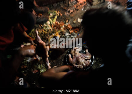 Subotica, Serbie. 24Th Mar, 2017. Deux migrants pakistanais enlever la peau d'un poulet au cours de la soirée à l'intérieur d'une ancienne usine de brique de Subotica.Subotica, situé à 15 km de la frontière hongroise, serbe - un refuge pour des centaines de réfugiés et migrants. La route des Balkans a été officiellement fermé il y a plus d'un an, et pourtant, les alambics reste comme une porte ouverte pour des milliers de migrants et de réfugiés. Pendant ce temps, les migrants en provenance du Pakistan vivent illégalement dans les forêts et des bâtiments abandonnés, qu'ils n'ont pas droit à l'asile. En tant que vivant illégalement ne donne aucun accès à toutes les activités prévues dans le Banque D'Images