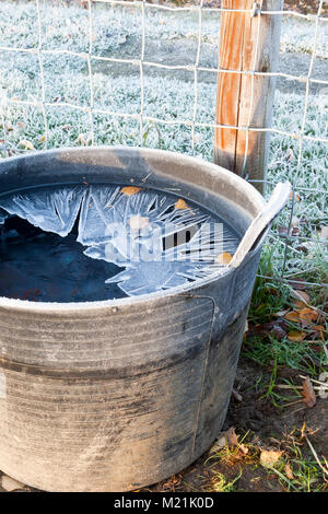 Glace givré sur un enclos d'eau Banque D'Images