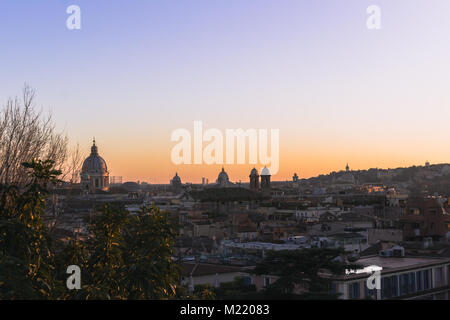 Vue de Rome à la fin de l'après-midi avec quelques plantes dans le premier avion. Banque D'Images