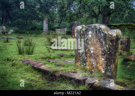 Le cimetière à l'église de St.Kentigerna Inchcailloch, sur une île du Loch Lomond. L'église est tombée en désuétude après 1621, et est maintenant une ruine, Banque D'Images