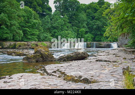 Rivière Ure au Upper Aysgarth Falls dans le Yorkshire Dales National Park, North Yorkshire, England, UK Banque D'Images