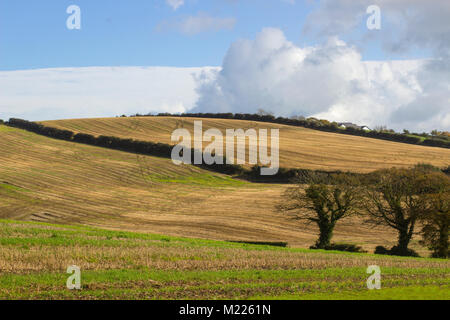 Collines ondulées et typique de dales comté de Down en Irlande du nord à proximité de Kircubbin sur la péninsule de ards. Banque D'Images