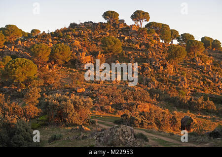 Vue sur colline rocheuse dans la lumière du soir Parque Natural Sierra de Andujar, Jaen, Espagne Janvier Banque D'Images