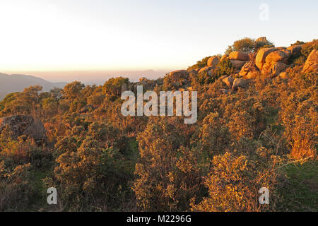 Vue sur colline rocheuse dans la lumière du soir Parque Natural Sierra de Andujar, Jaen, Espagne Janvier Banque D'Images