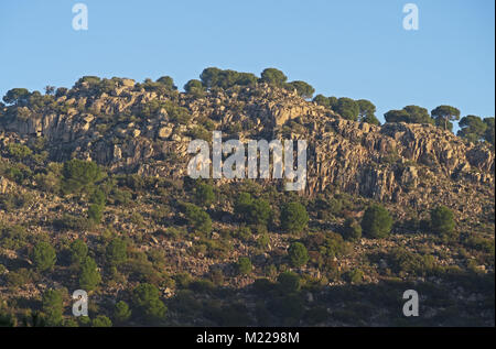Vue sur colline rocheuse Parque Natural Sierra de Andujar, Jaen, Espagne Janvier Banque D'Images