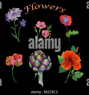 Ensemble original d'aquarelle de fleurs différentes Banque D'Images