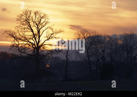 Campagne boisée en hiver, au nord du département de la Mayenne (pays de la Loire, France, Europe). Banque D'Images