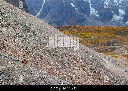 LAKE LOUISE, CANADA - SEPT 17, 2016 : Les randonneurs traversent le sentier rocheux au col Sentinel dans la vallée de mélèzes près du lac Louise dans le parc national de Banff, Alb Banque D'Images