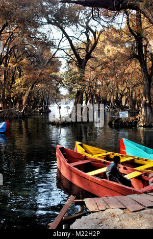 Un garçon est assis dans un bateau dans le lac Camecuaro (Lago de Camecuaro), Michoacan, Mexique. Banque D'Images