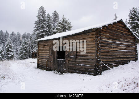 Journal d'une ancienne écurie de grenat à Ghost Town, au nord-ouest de Drummond, Montana, dans le comté de granit. Les mines de la région principalement extrait de l'or. Banque D'Images