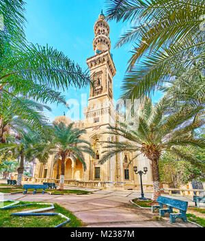 Vous pourrez vous détendre dans le jardin de palmiers ombragés, situé à côté d'Abu al-Abbas al-Mursi Mosquée, Alexandria, Egypte Banque D'Images