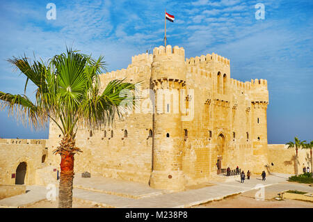 Alexandrie, Egypte - le 17 décembre 2017 : Le point de vue de la citadelle de Qaitbay derrière le palmier de son petit jardin, le 17 décembre à Alexandrie. Banque D'Images