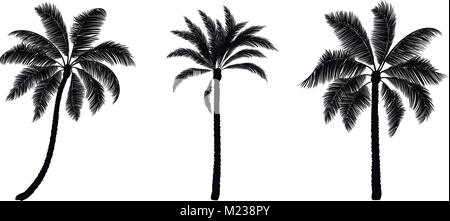 Ensemble de vecteur noir palm. Les arbres à la main. Illustration de Vecteur