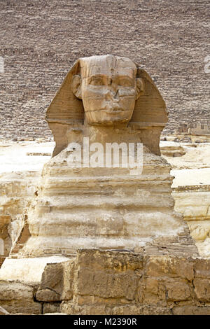 Le grand Sphinx statue sur le plateau de Gizeh, Le Caire, Egypte Banque D'Images