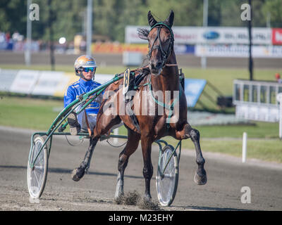 Race Driver faisceau Björn Goop préparer un cheval pour une course. Björn Goop a remporté Prix d'amerique 2018 considérée comme la plus grande course au monde. Banque D'Images