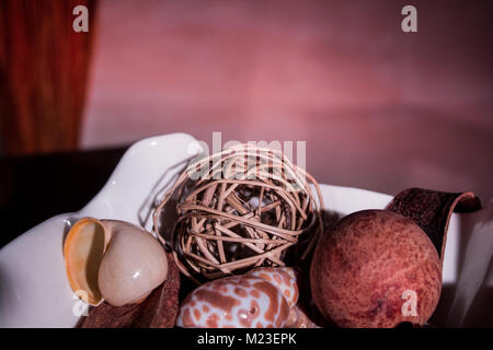 Close up de coquillages Banque D'Images