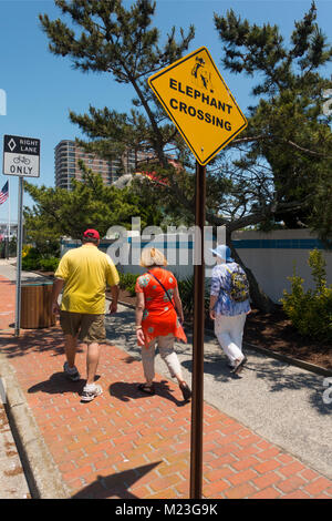 Elephant crossing Margate city NJ Banque D'Images