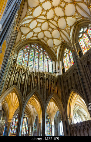 Vitraux et haut plafond à l'intérieur de la nef du 12ème siècle, la cathédrale de Wells Wells, Somerset, UK Banque D'Images