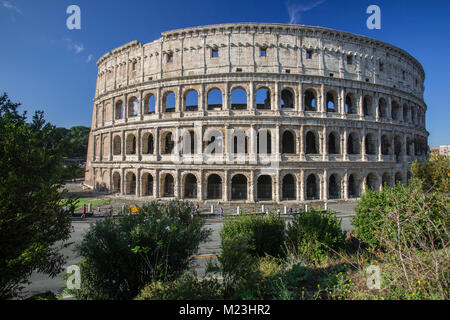 Colisée dans la lumière du matin, Rome, Italie Banque D'Images