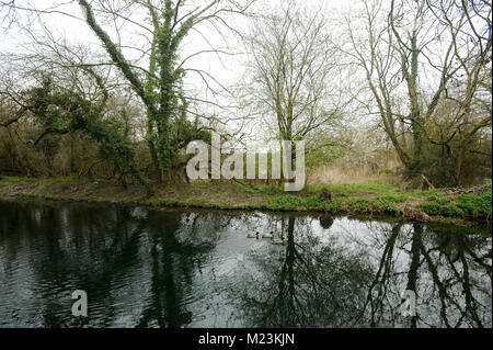 Canal de Basingstoke, Hampshire, Odiham en Angleterre, Royaume-Uni. 2 avril 2015 © Wojciech Strozyk / Alamy Stock Photo Banque D'Images