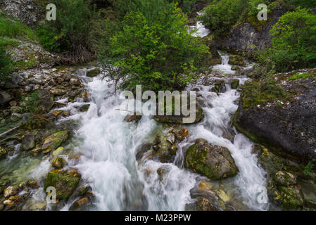 Belle nature de ruisseau et forêt en niveau national réserver Daocheng Yading La province de Sichuan, Chine Banque D'Images