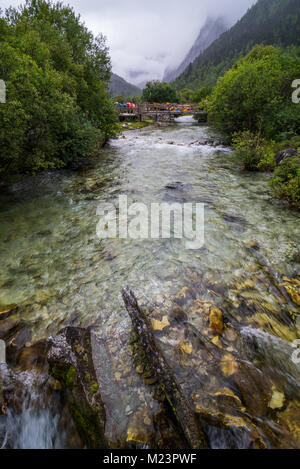 Belle nature de ruisseau et forêt en niveau national réserver Daocheng Yading La province de Sichuan, Chine Banque D'Images