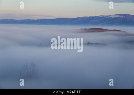 Belle vallée montagneuse remplie de brouillard dans les Carpates roumaines Banque D'Images