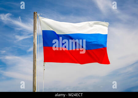 République de Russie drapeaux dans le vent Banque D'Images