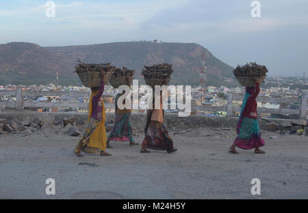 Des femmes transportant du bois de chauffage, Bundi, Rajasthan, Inde Banque D'Images