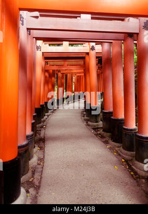Senbon torii, un long chemin vide de rouge vermillon Torii gates au Sanctuaire Fushimi Inari Taisha à Kyoto, Japon, 2017 Banque D'Images