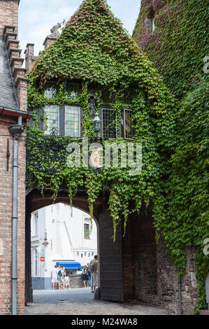 Le musée Gruuthuse et son entrée dans la cour couverte de lierre, Bruges, Belgique Banque D'Images