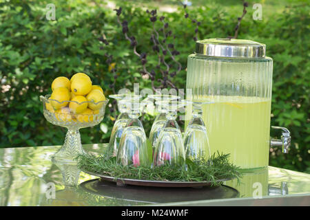 Divertir en style de vie en plein air - avec des aliments, boissons, foyer, maison, et une création de l'espace où vous profitez de l'été et au printemps par temps plein air Banque D'Images