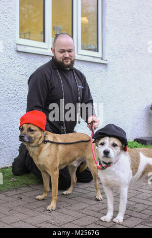 2 chiens de secours d'amis des chiens refuge, Winson et Bander avec un Dale Kitch, 25 bénévoles, pour les habiller votre animal de jour. Banque D'Images